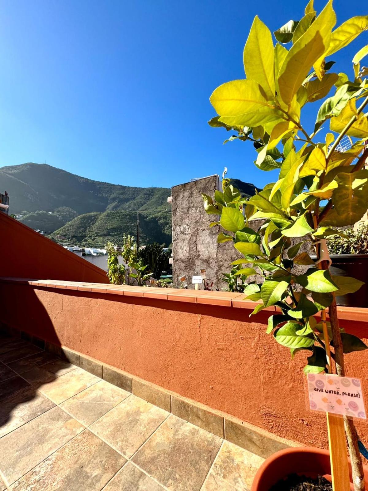 Precioso Apartamento Con Terraza En Piso Superior Los Realejos Exterior foto